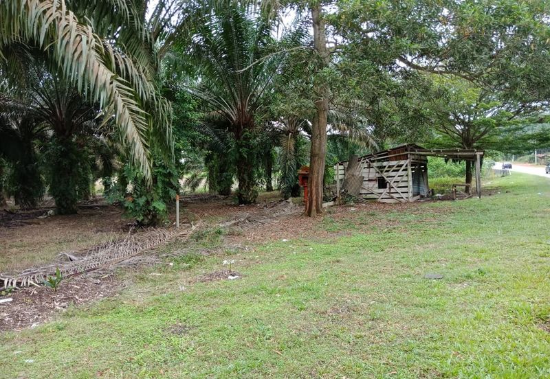 Yong Peng-Agriculture Land Zoning Commercial