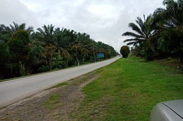 Yong Peng-Agriculture Land Zoning Commercial