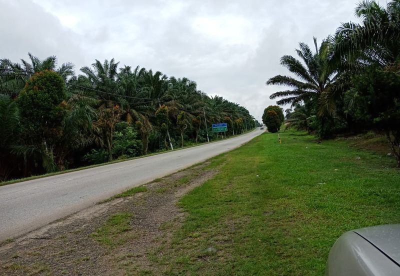 Yong Peng-Agriculture Land Zoning Commercial