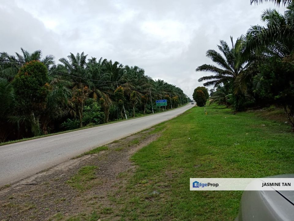 Yong Peng-Agriculture Land Zoning Commercial, Johor, Yong Peng