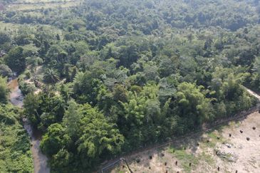Batang Kali Hulu Rening Rasa Selangor Freehold Non Bumi Agriculture Land For Sale