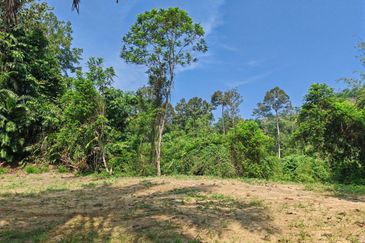 Batang Kali Hulu Rening Rasa Selangor Freehold Non Bumi Agriculture Land For Sale
