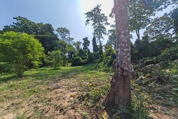 Batang Kali Hulu Rening Rasa Selangor Freehold Non Bumi Agriculture Land For Sale