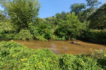 Batang Kali Hulu Rening Rasa Selangor Freehold Non Bumi Agriculture Land For Sale