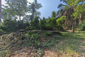 Batang Kali Hulu Rening Rasa Selangor Freehold Non Bumi Agriculture Land For Sale