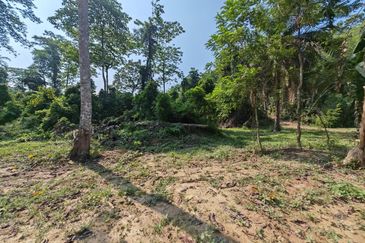 Batang Kali Hulu Rening Rasa Selangor Freehold Non Bumi Agriculture Land For Sale