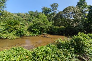 Batang Kali Hulu Rening Rasa Selangor Freehold Non Bumi Agriculture Land For Sale