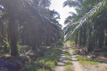 Klang Industrial land 