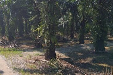 Klang Industrial land 