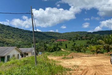 Palm Oil Plantation/Cattle farm in Gua Musang 