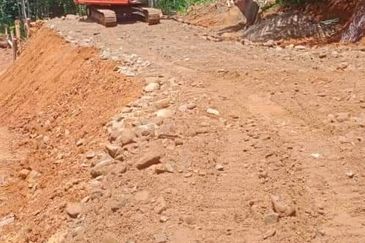 Palm Oil Plantation/Cattle farm in Gua Musang 