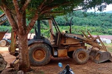 Palm Oil Plantation/Cattle farm in Gua Musang 