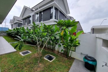 Reesia Elmina Garden