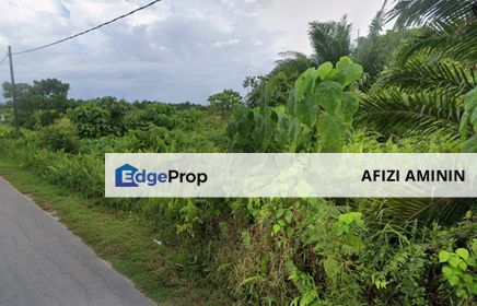 Tanah Pertanian Parit 5 Mukim Panchang Bedena Sungai Besar Selangor, Selangor, Sabak Bernam