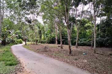 Dusun Durian at Kampung Seberang Manong, Manong