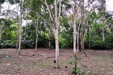 Dusun Durian at Kampung Seberang Manong, Manong