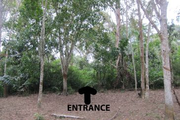 Dusun Durian at Kampung Seberang Manong, Manong