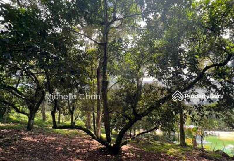 Hulu Langat, Semenyih