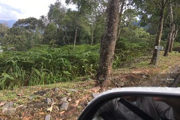 Genting View, Genting Highland