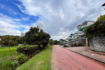 The Lotus of The Mines