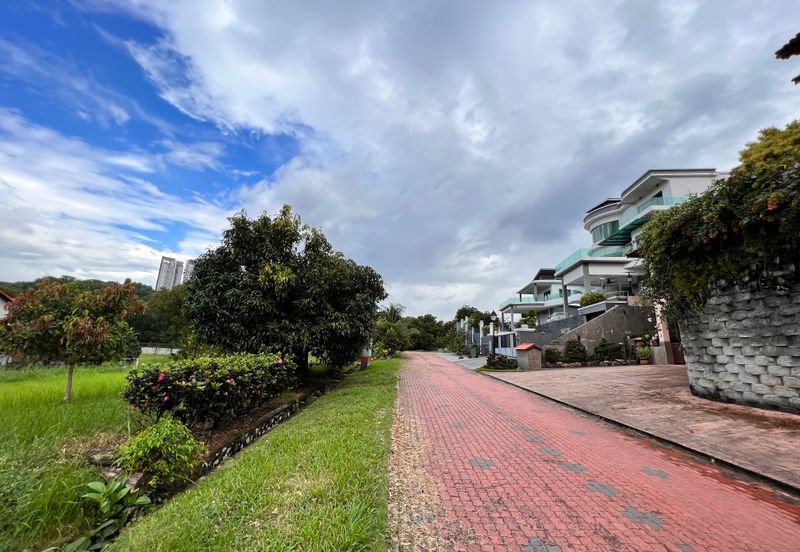 The Lotus of The Mines