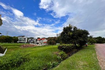 The Lotus of The Mines