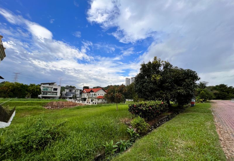 The Lotus of The Mines