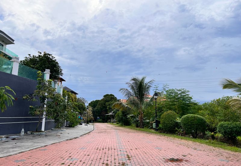 The Lotus of The Mines