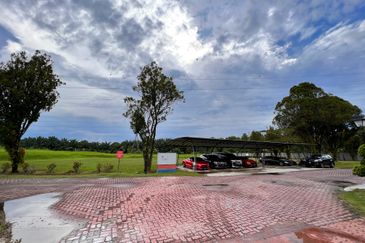 The Lotus of The Mines