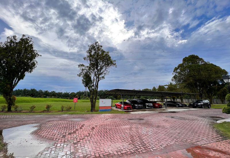 The Lotus of The Mines