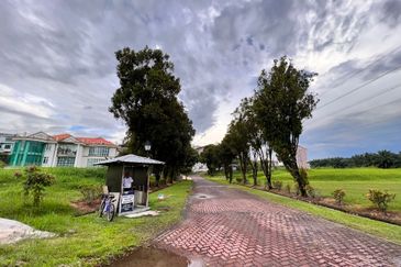 The Lotus of The Mines