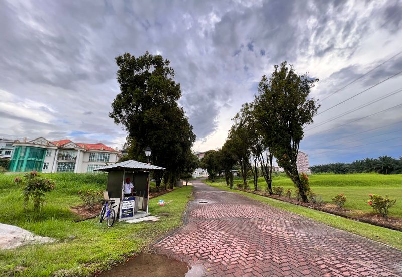 The Lotus of The Mines