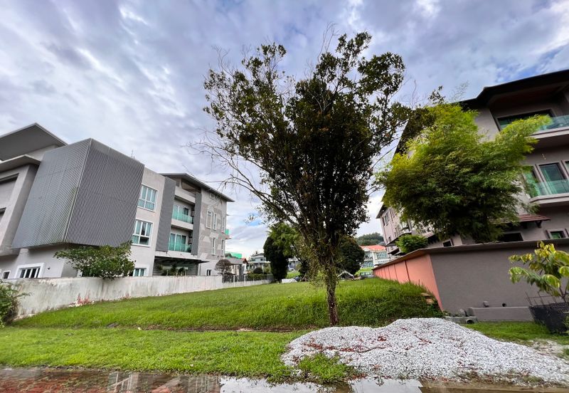 The Lotus of The Mines