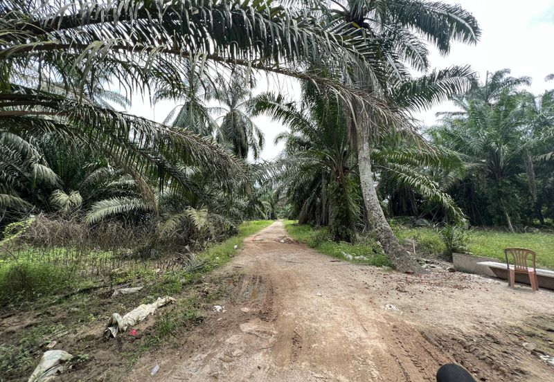 Development Industrial Land for Sale in Kapar
