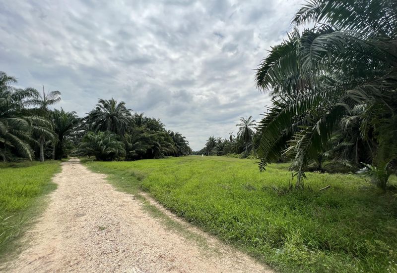 Development Industrial Land for Sale in Kapar