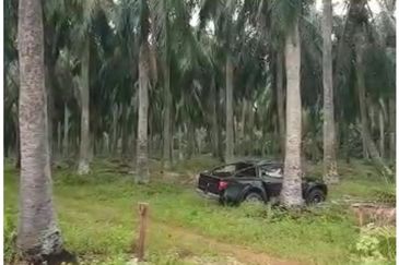 Batang Berjuntai @ Bestari Jaya