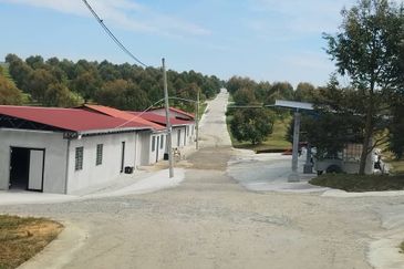 Durian Farm for Sale in Kuala Pilah