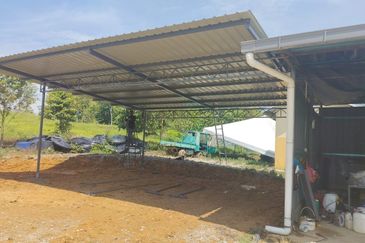 Durian Farm for Sale in Kuala Pilah