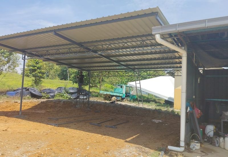 Durian Farm for Sale in Kuala Pilah