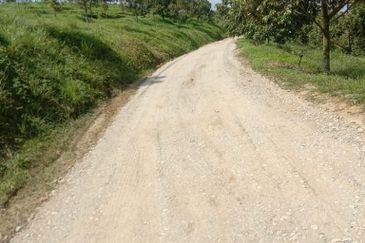 Durian Farm for Sale in Kuala Pilah