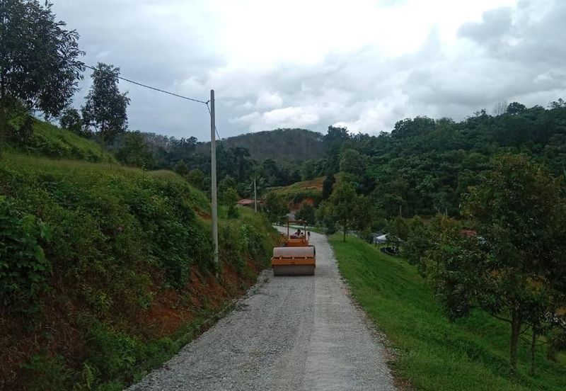 Durian Farm for Sale in Kuala Pilah