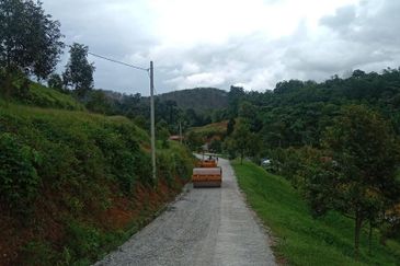 Durian Farm for Sale in Kuala Pilah