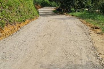 Durian Farm for Sale in Kuala Pilah