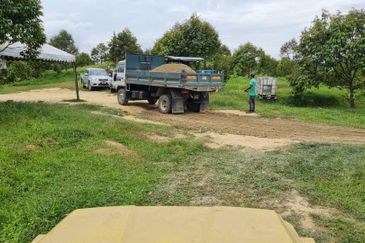 Durian Farm for Sale in Kuala Pilah