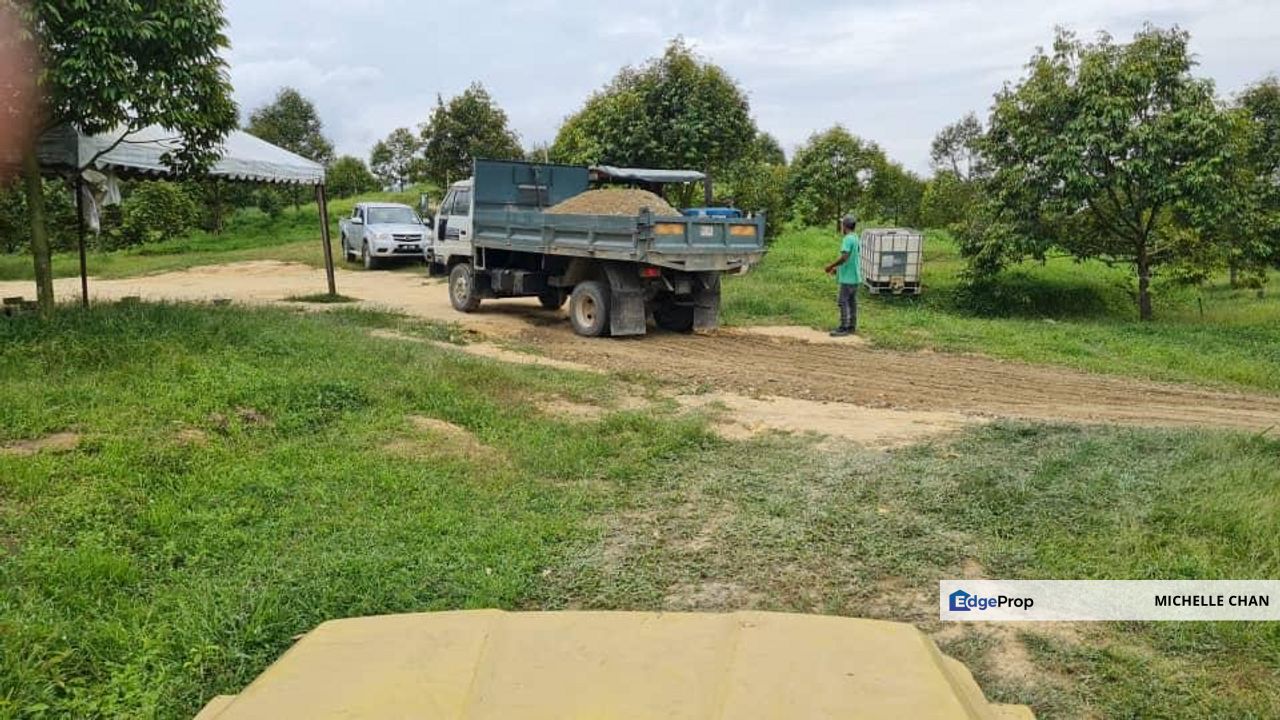 Durian Farm for Sale in Kuala Pilah, Negeri Sembilan, Kuala Pilah