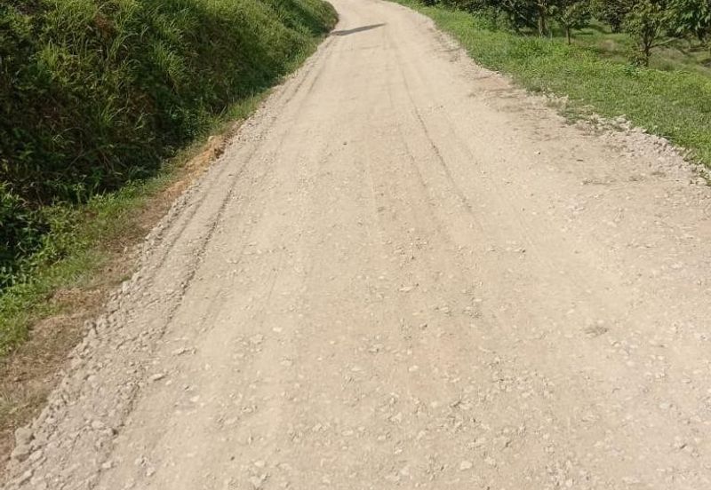 Durian Farm for Sale in Kuala Pilah