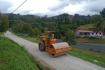 Durian Farm for Sale in Kuala Pilah