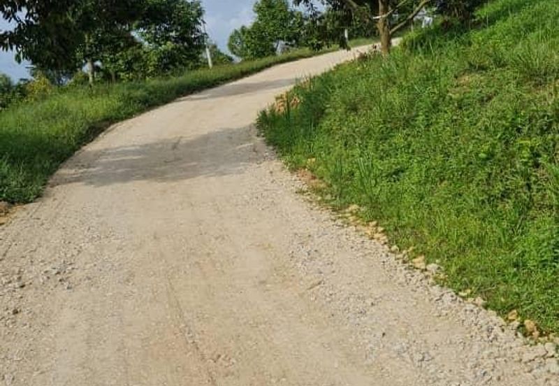 Durian Farm for Sale in Kuala Pilah