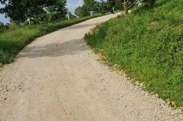 Durian Farm for Sale in Kuala Pilah