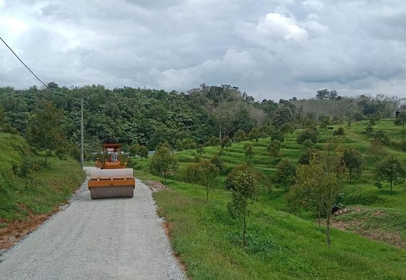 Durian Farm for Sale in Kuala Pilah